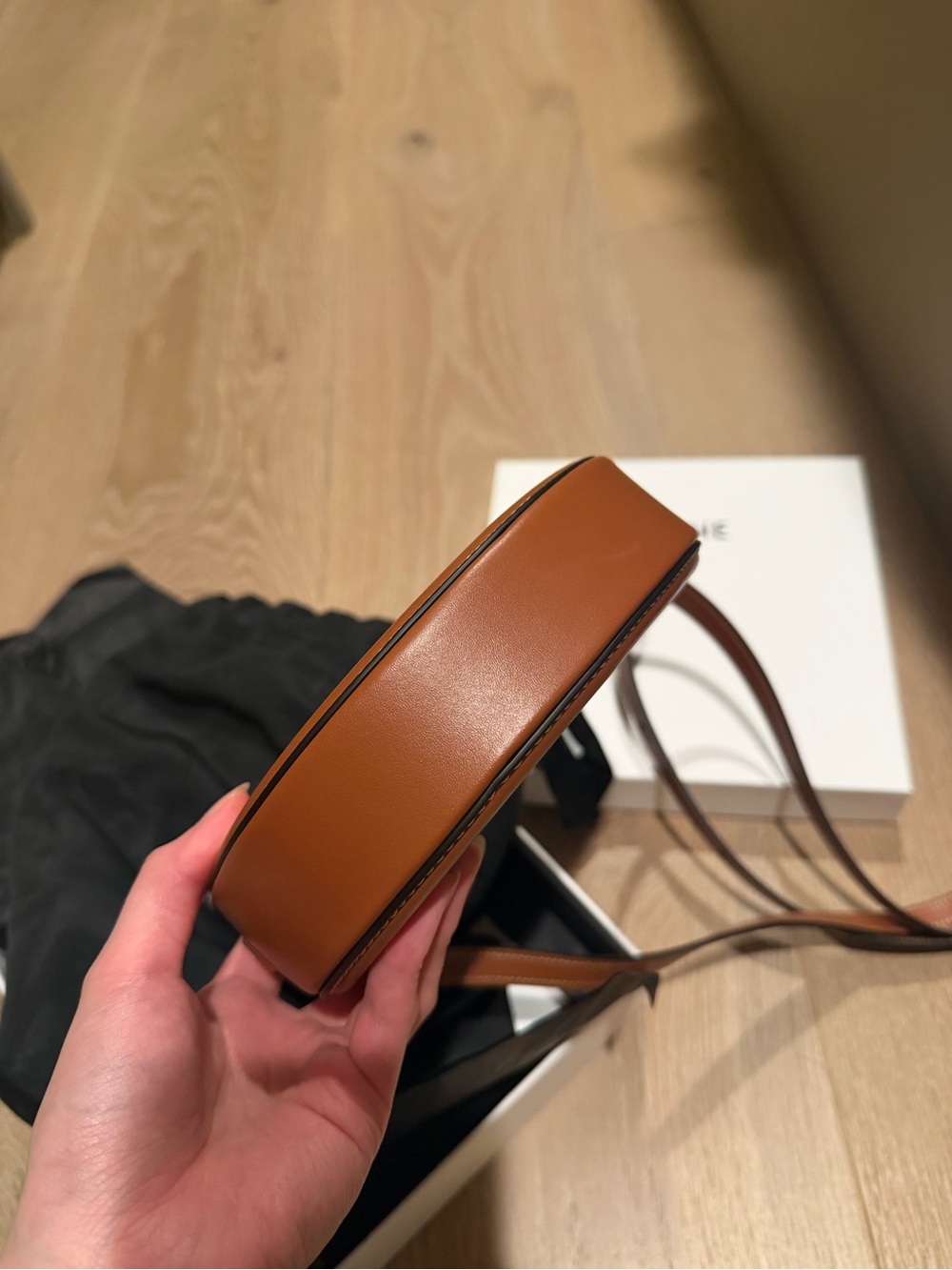 Celine Triomphe Oval Crossbody Bag in Brown and Beige - Picture 4 of 5